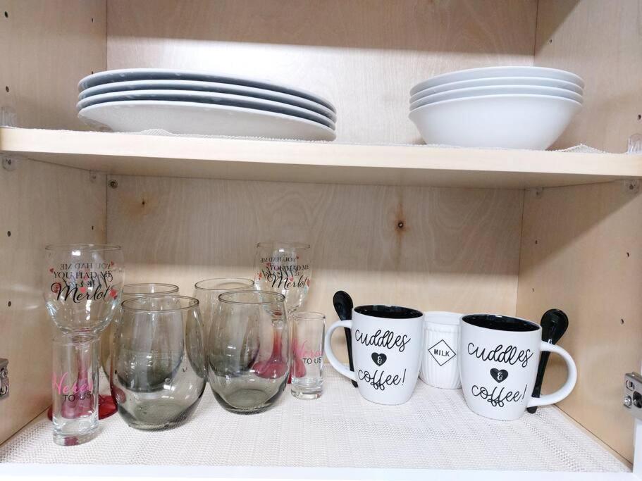 The Torres' Loft West Tampa Midtown Raymond James Stadium エクステリア 写真
