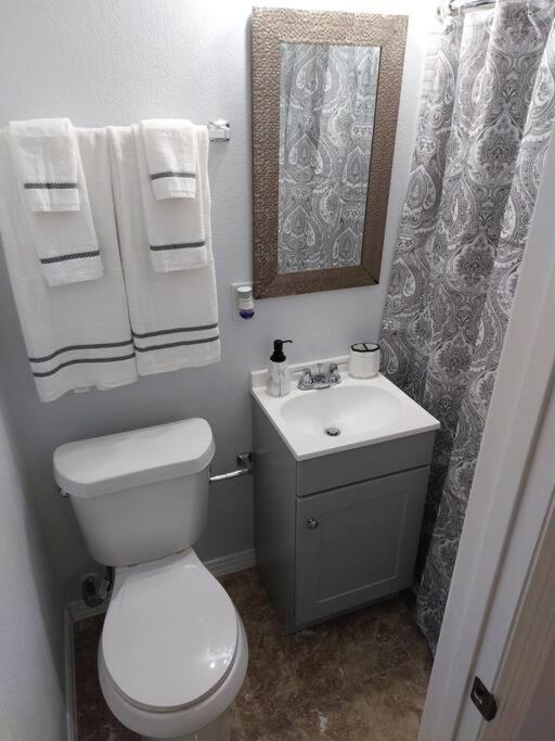 The Torres' Loft West Tampa Midtown Raymond James Stadium エクステリア 写真